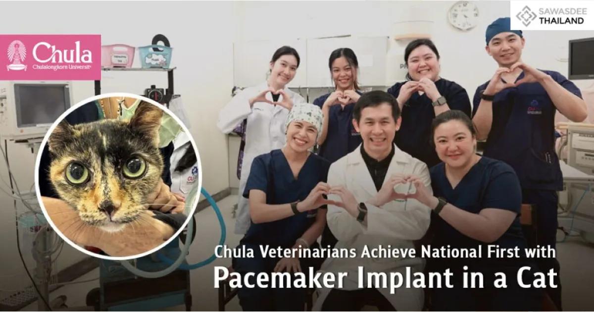 Chulalongkorn Veterinarians Successfully Implant Pacemaker in Cat ...