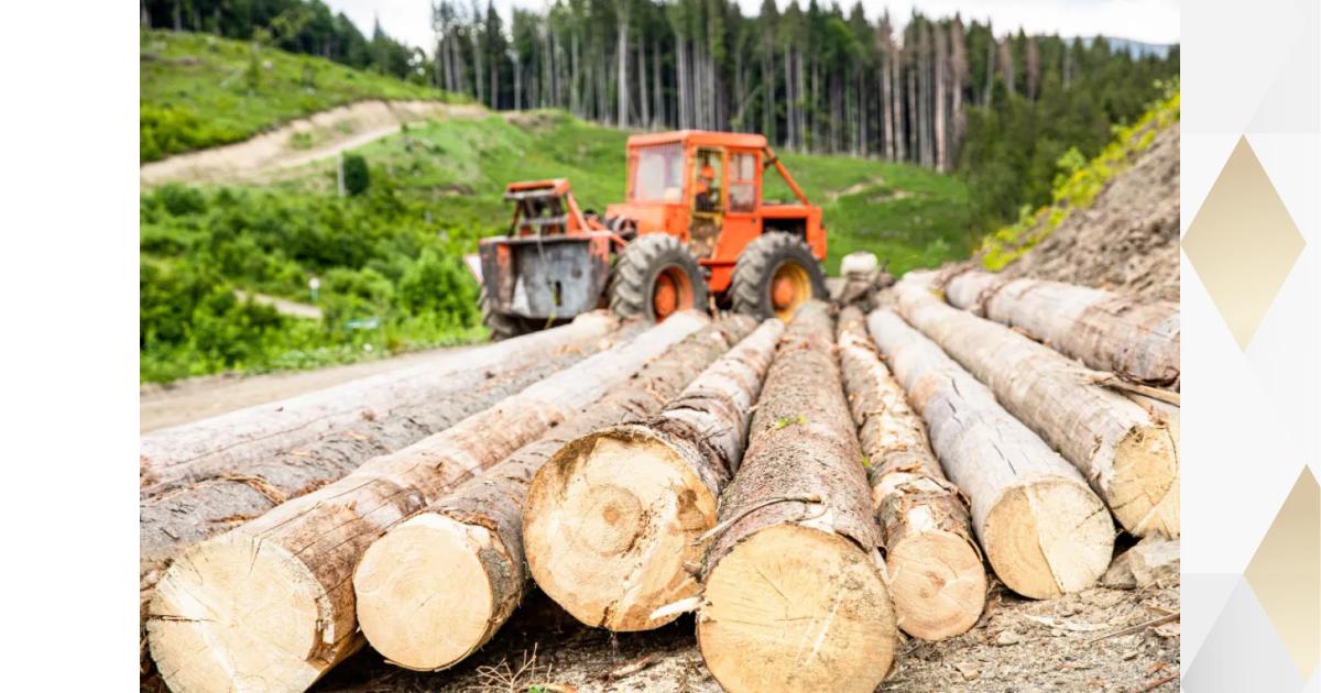 Criteria and Procedures for Permitting the Use of Protected Timber ...