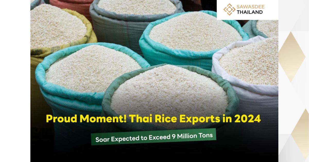 Soar Rice Proud Moment! Thai Rice Exports in 2024 Soar, Expected to Exceed 9 ...