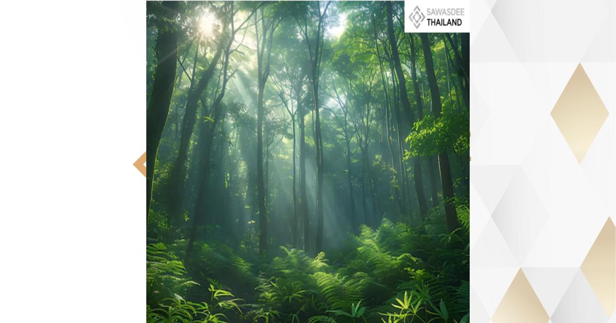 Cabinet Approves “Forests for Life” Project with FAO–GEF to Protect ...