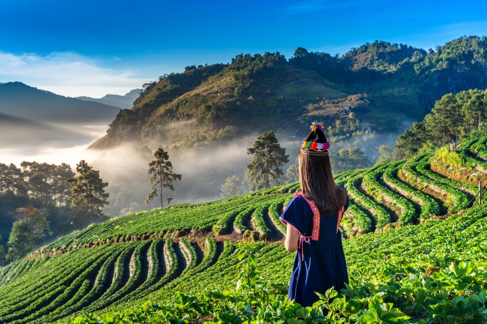 woman-wearing-hill-tribe-dress-strawberry-garden-doi-ang-khang-chiang-mai-thailand.jpg