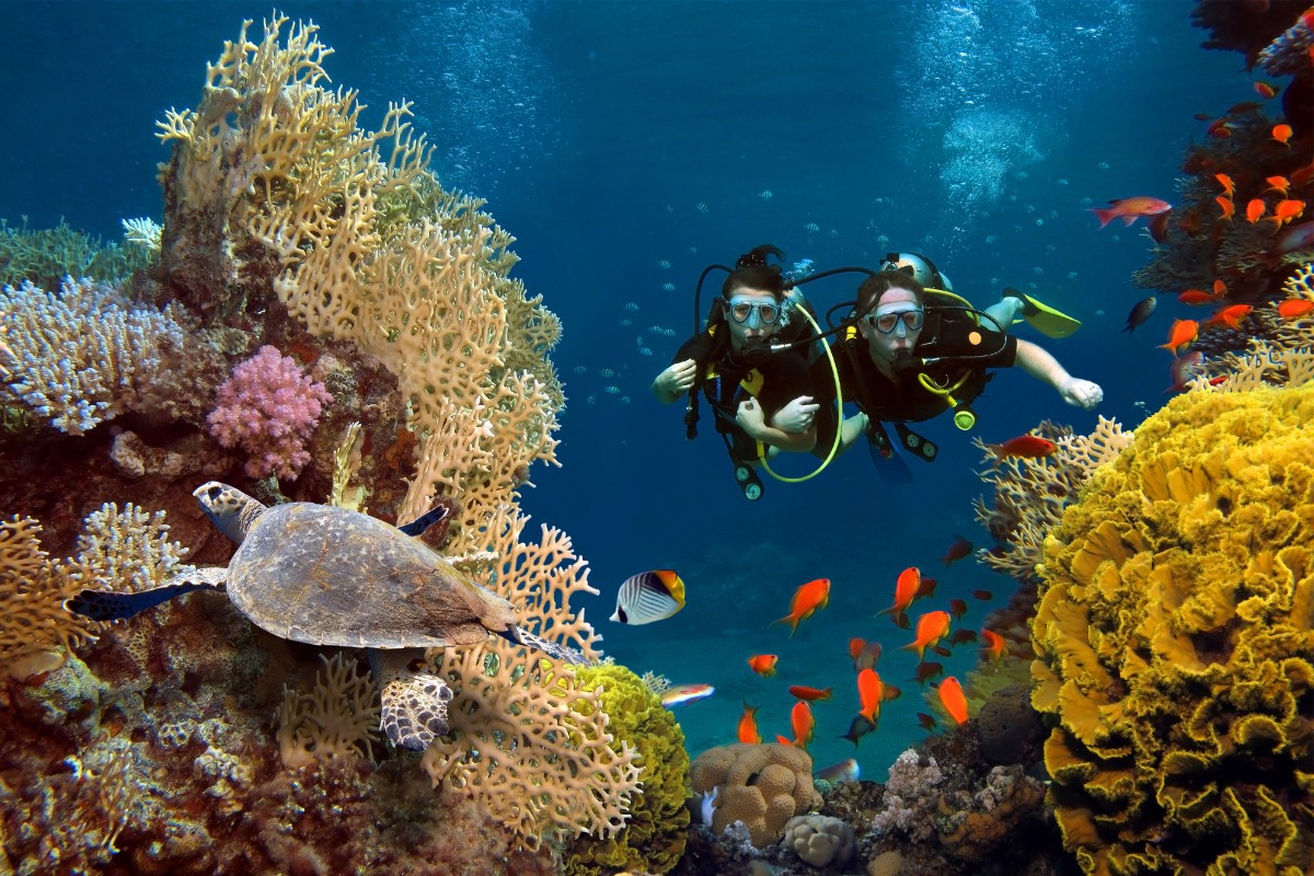 Things to Do for Water Conservation Tourism (Scuba Diving)
