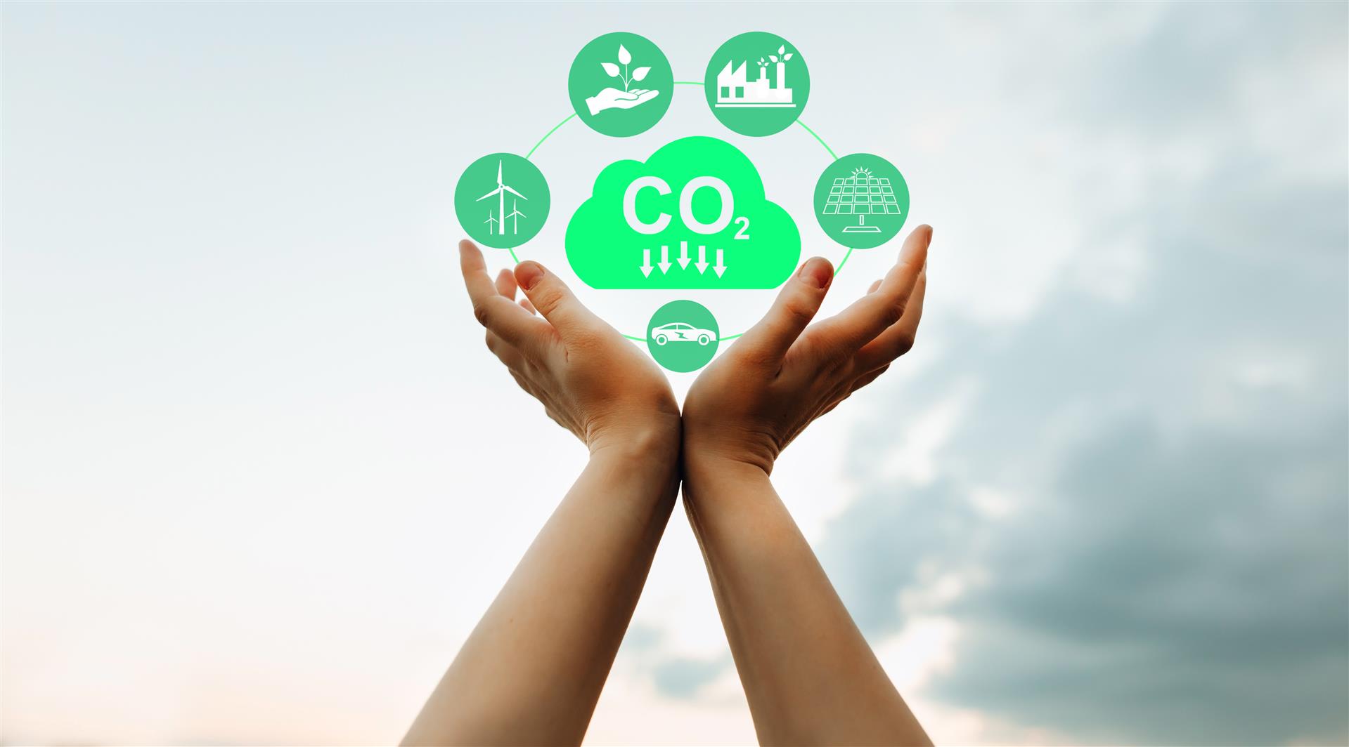Investing in carbon reduction labels for business growth