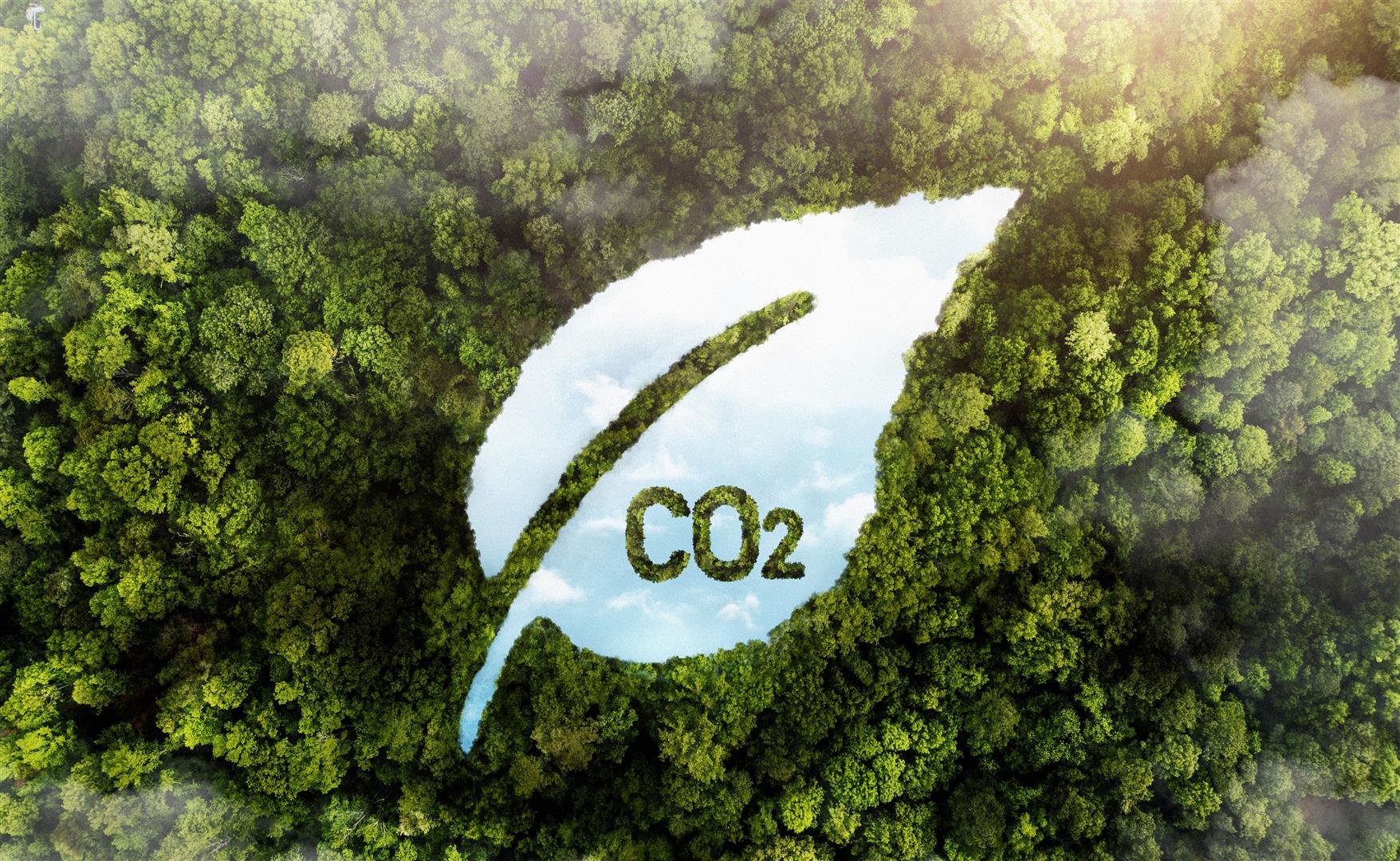 “Alone-Group” entrepreneurs accumulating carbon credits to pave the way for business growth