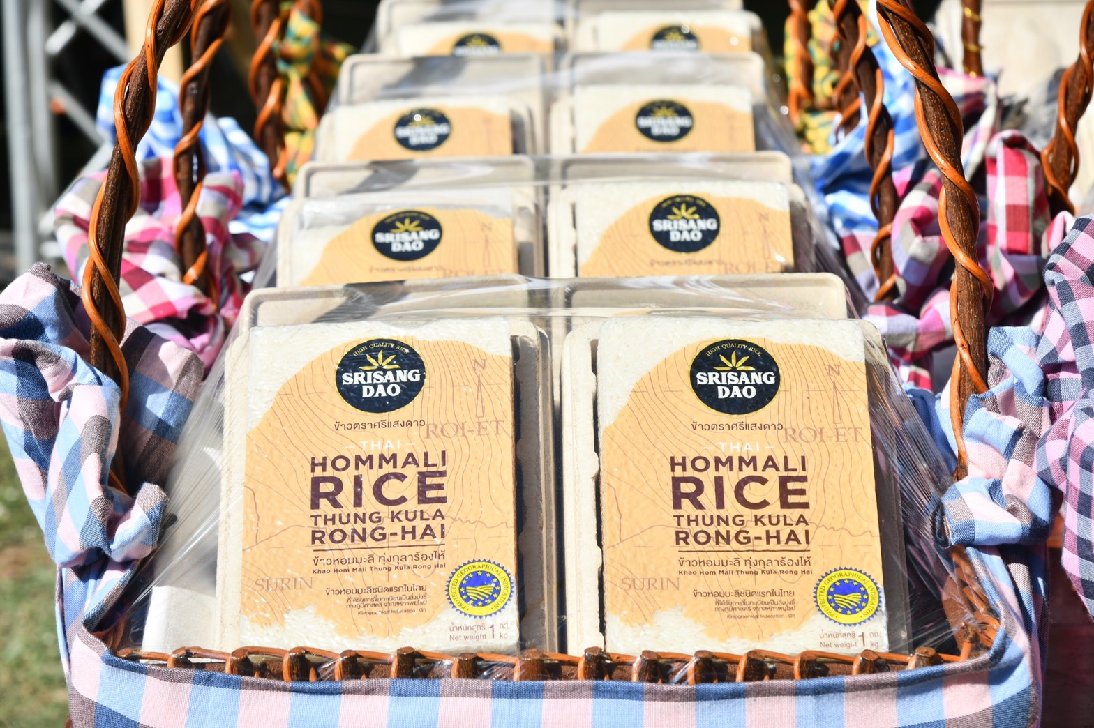 Create a World-Class Jasmine Rice GI Thung Kula Rong Hai