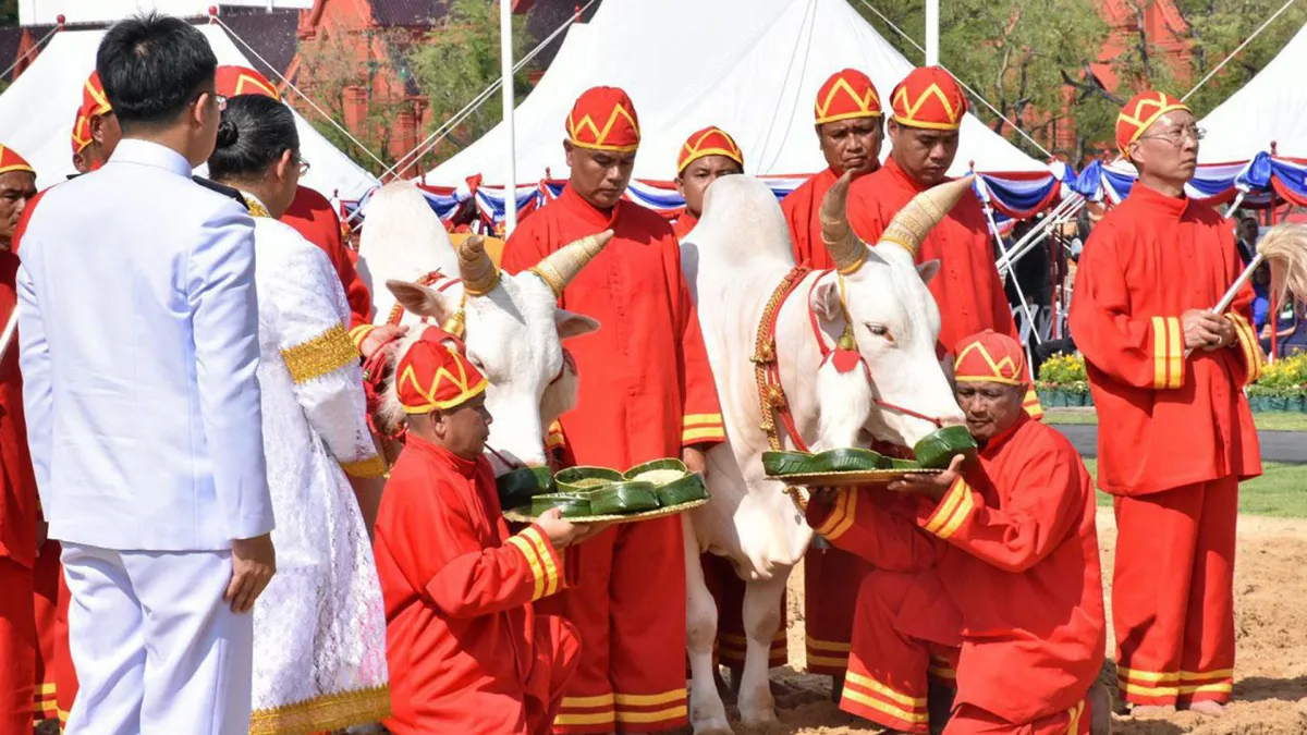 Royal Plowing Ceremony  Day.