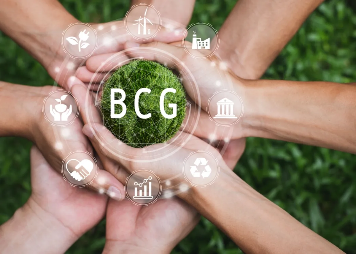 Guidelines for driving the circular economy in accordance with BCG principles