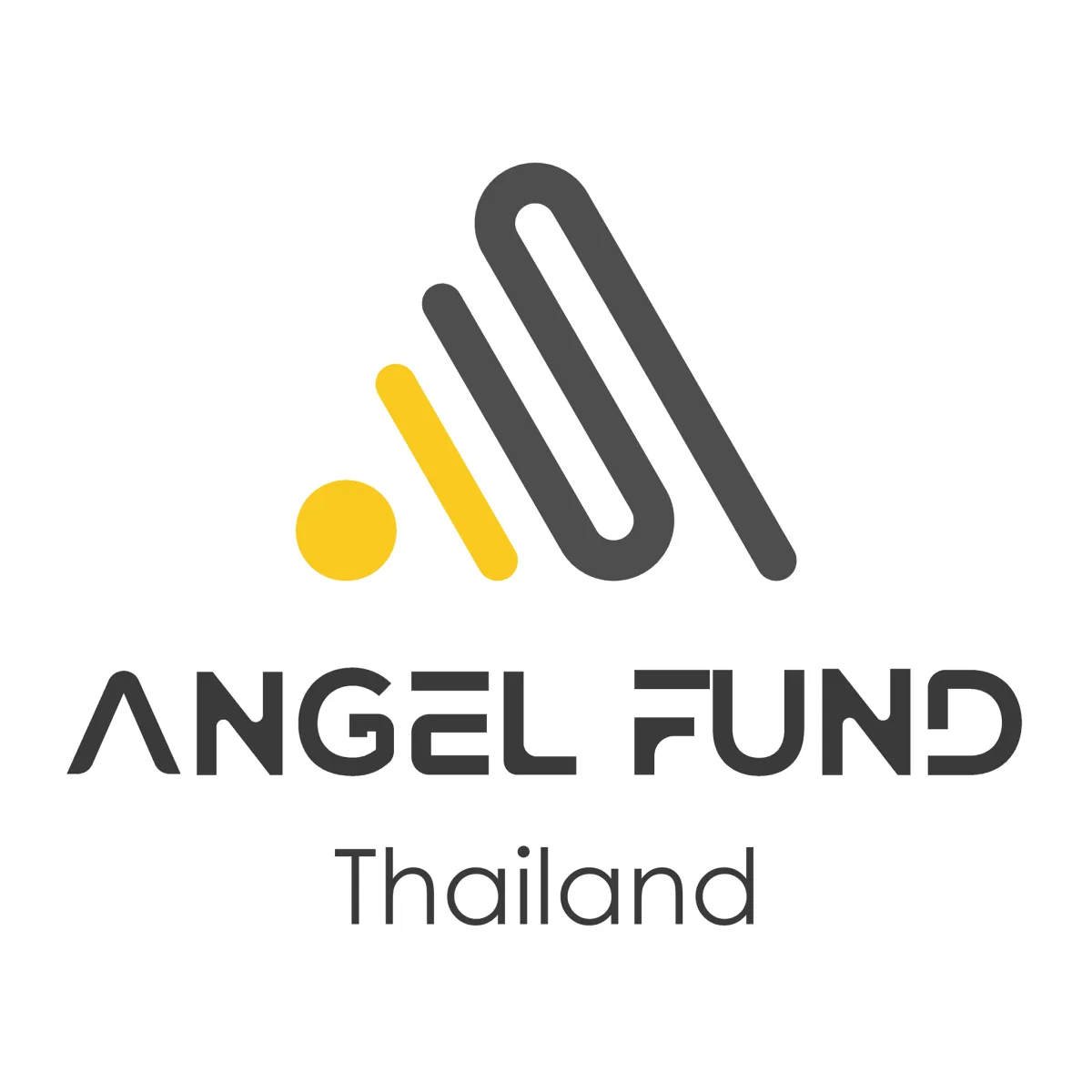 DIProm Angel Fund, a program for startup support