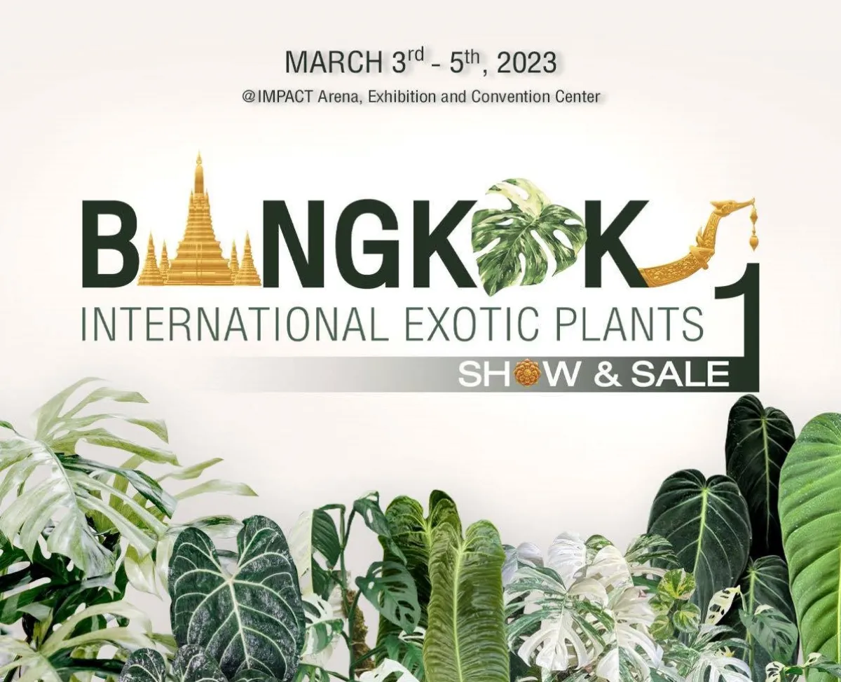Travel calendar – Bangkok International Exotic Plant Show and Sale 1