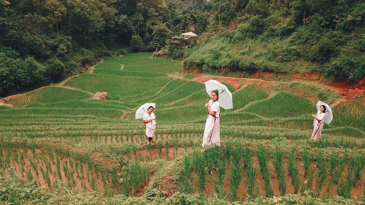 Immersing in the Charm of Thailands Rural Life