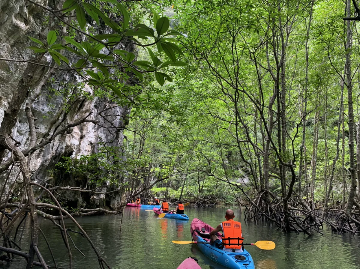 Global Sustainable Tourism Criteria and tourist management in natural attractions