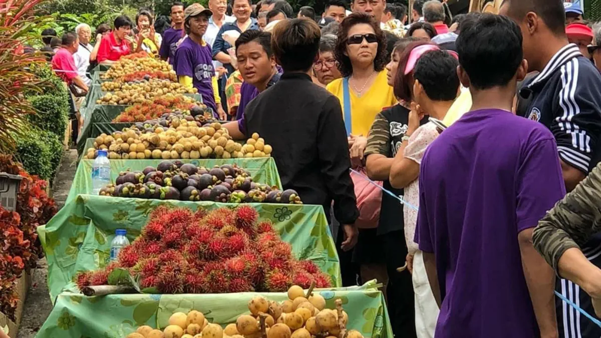 Lifestyle Tourism: Harvesting Season in Betong, Yala