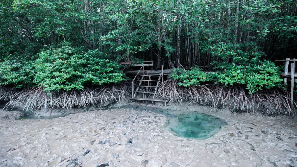 Lifestyle Tourism: Kem Si Kao Hot Spring in Trang