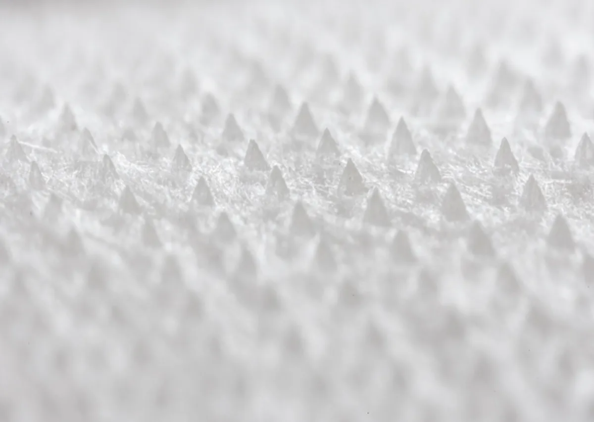 "Microspike": The Innovative microneedle patch for health and beauty markets