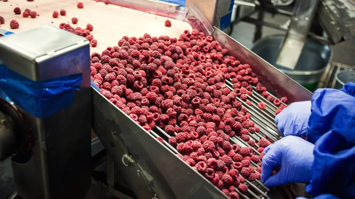 Documents Required for Certification of the Production System of Frozen Fruit and Vegetable Manufacturing Plants, and Agricultural Product Processing Plants for Issuing Phytosanitary Certificates