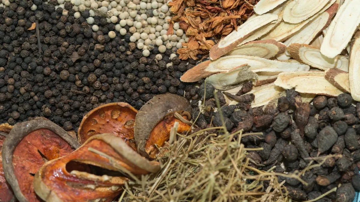 Thai traditional medicine and thai herbs: Health care during the rainy season