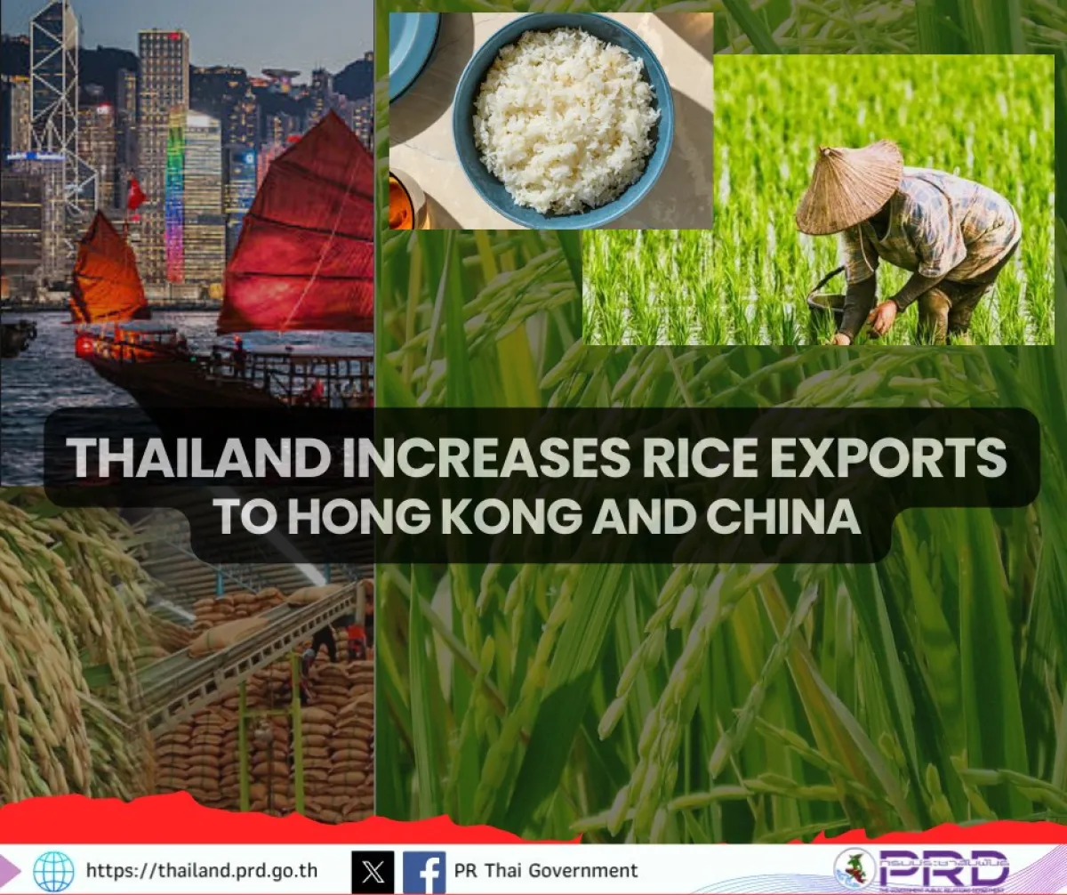 🍚🏆🎯Thailand plans to increase rice exports to Hong Kong and China.