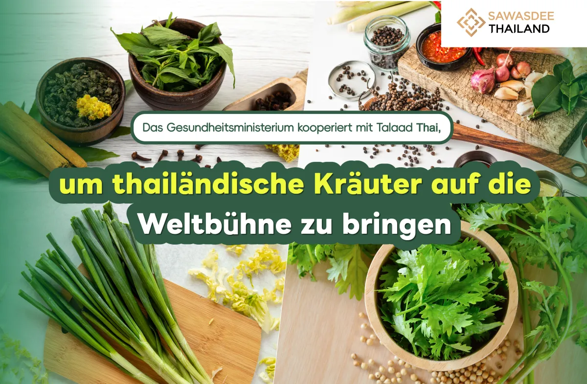 Das Gesundheitsministerium kooperiert mit Talaad Thai, um thailändische Kräuter auf die Weltbühne zu bringen