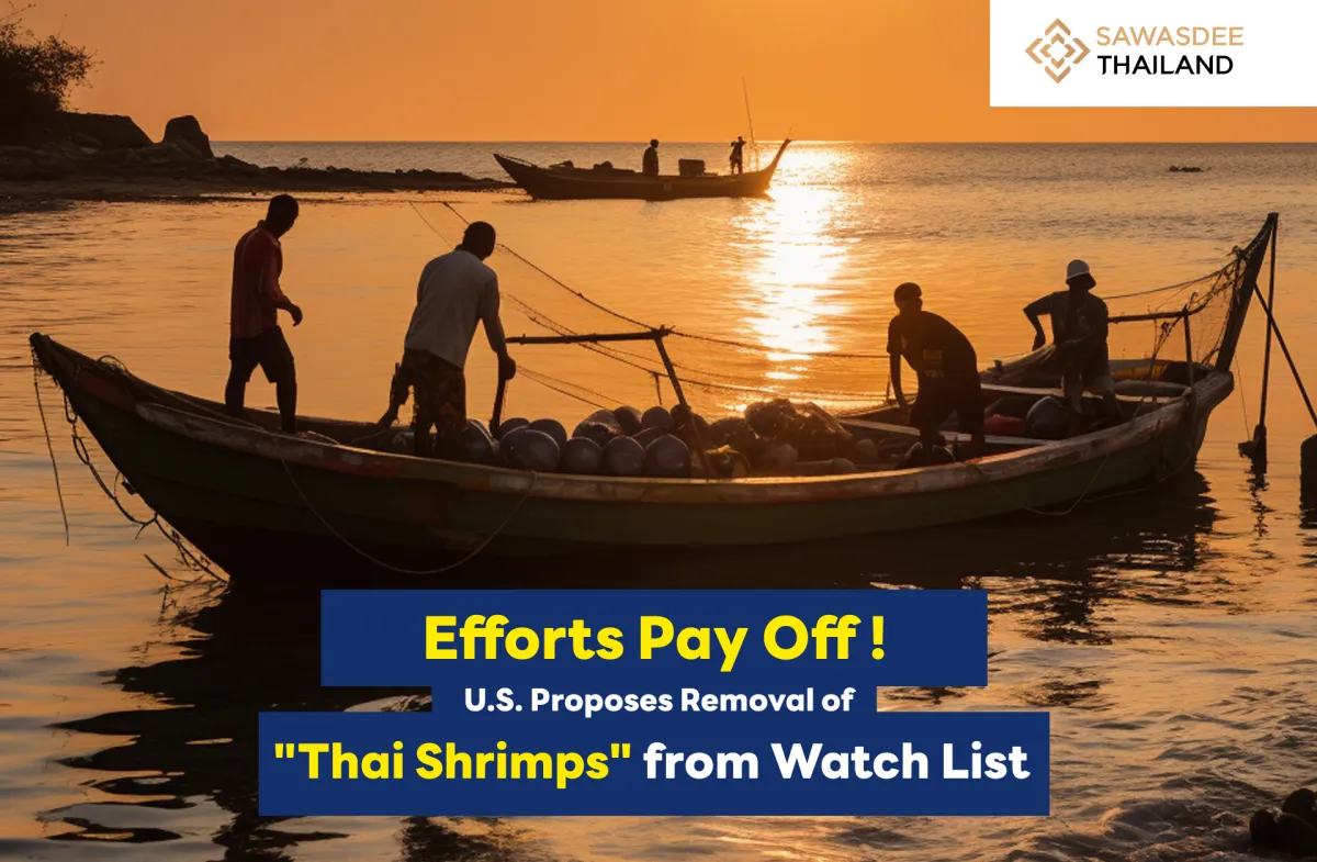 Efforts Pay Off! U.S. Proposes Removal of Thai Shrimp from Watch List