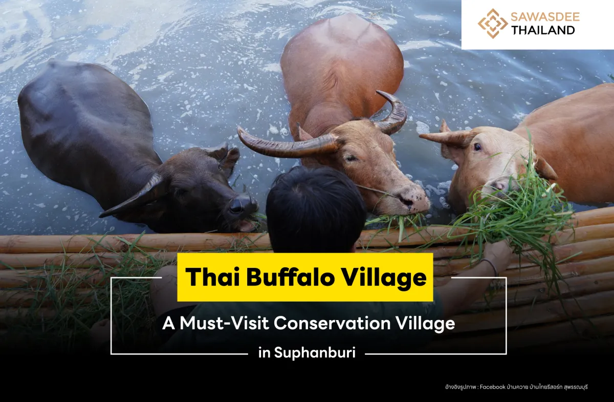 suggested headline: Thai Buffalo Village: A Must-Visit Conservation Village in Suphanburi