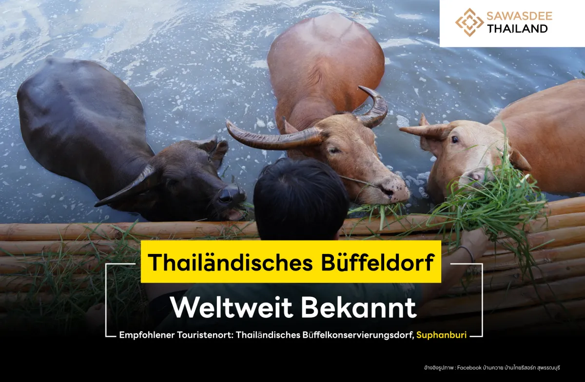 hailändisches Büffeldorf Weltweit Bekannt: Empfohlener Touristenort, Thailändisches Büffelkonservierungsdorf, Suphanburi