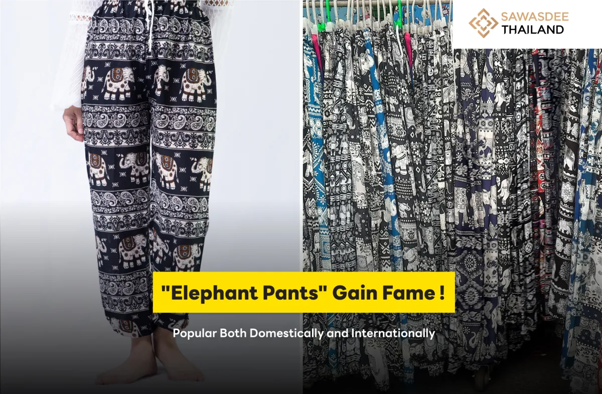 "Elephant Pants" Gain Fame! Popular Both Domestically and Internationally