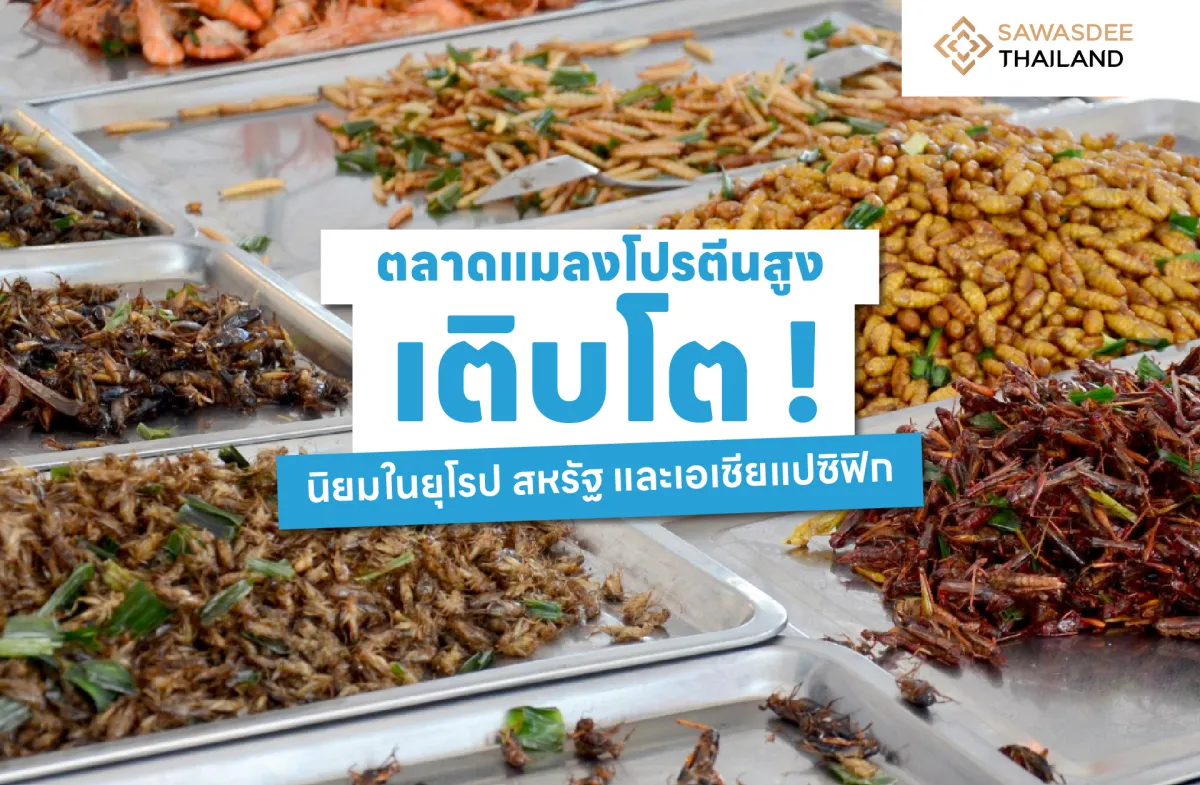 ตลาดแมลงโปรตีนสูงเติบโต ! นิยมในยุโรป สหรัฐ และเอเชียแปซิฟิก