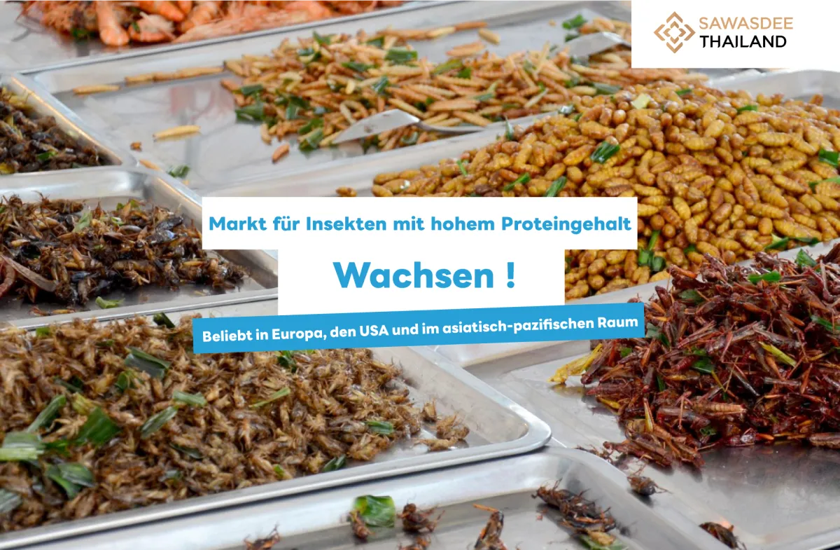 Markt für Insekten mit hohem Proteingehalt wächst! Beliebt in Europa, den USA und im asiatisch-pazifischen Raum