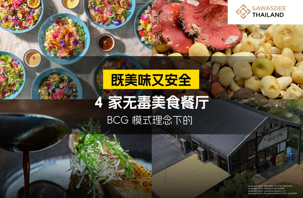 BCG 模式理念下的 4 家无毒美食餐厅，既美味又安全