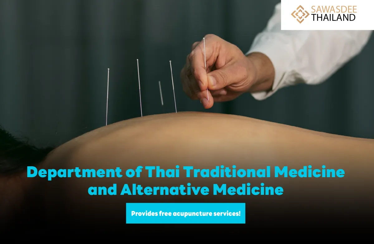 Department of Thai Traditional Medicine and Alternative Medicine Offers Free Acupuncture!