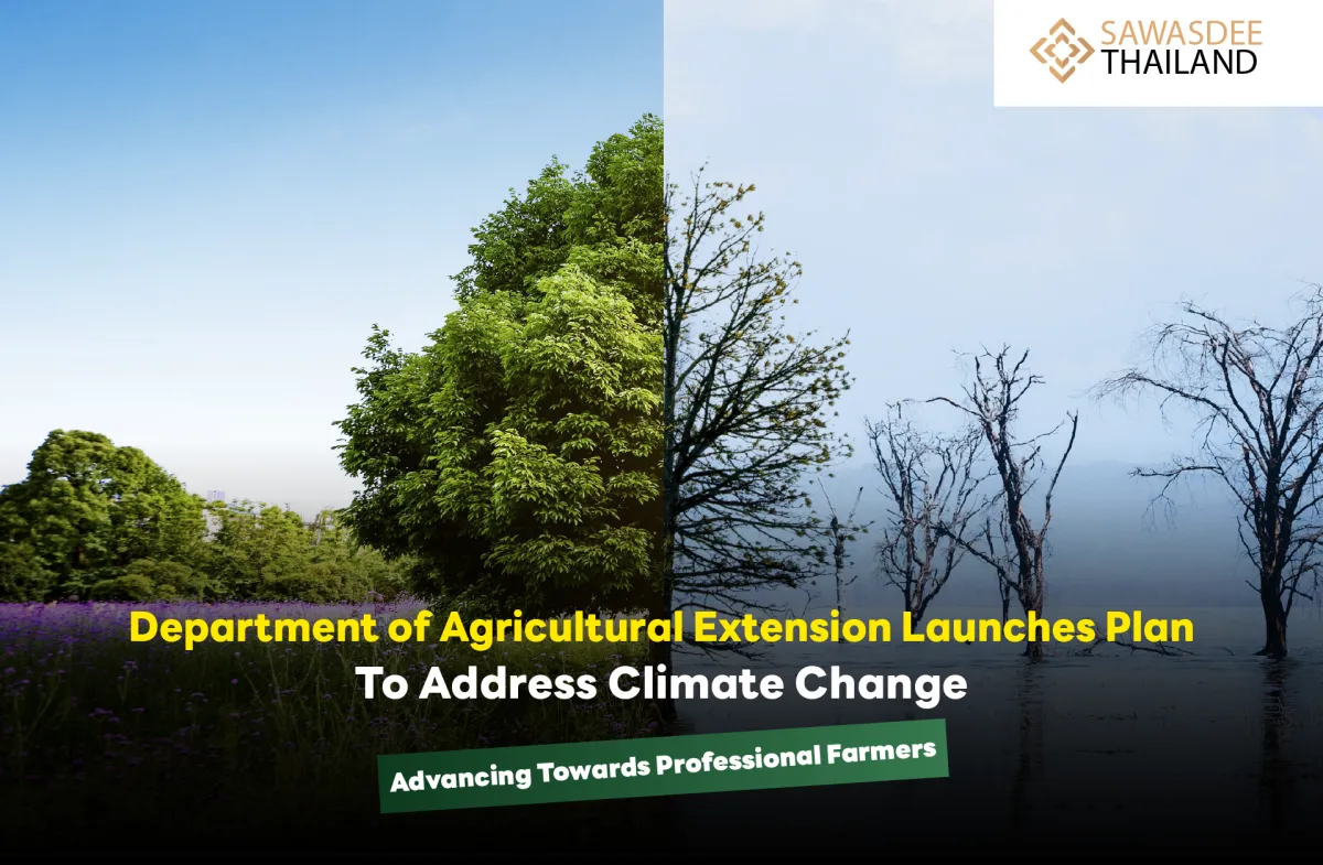 Department of Agricultural Extension Launches Plan to Address Climate Change, Advancing Towards Professional Farmers