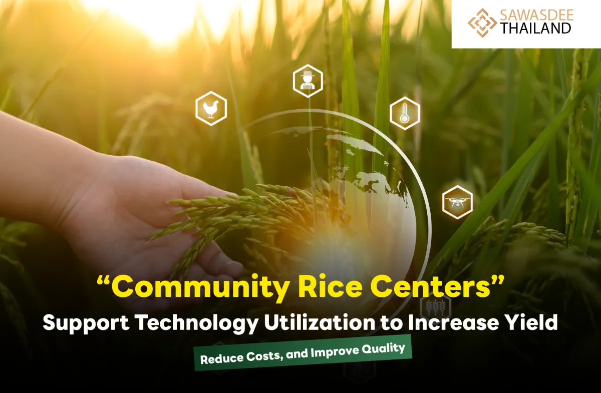 “Community Rice Centers” Support Technology Utilization to Increase Yield, Reduce Costs, and Improve Quality