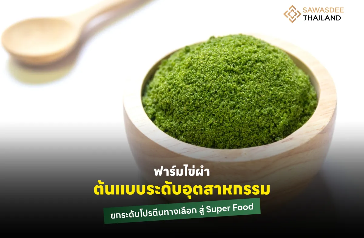 ฟาร์มไข่ผำต้นแบบระดับอุตสาหกรรม ยกระดับโปรตีนทางเลือก สู่ Super Food