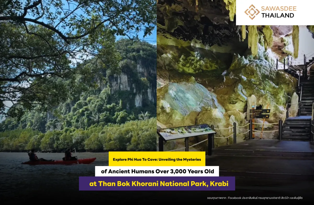 Explore Phi Hua To Cave: Unveiling the Mysteries of Ancient Humans Over 3,000 Years Old at Than Bok Khorani National Park, Krabi