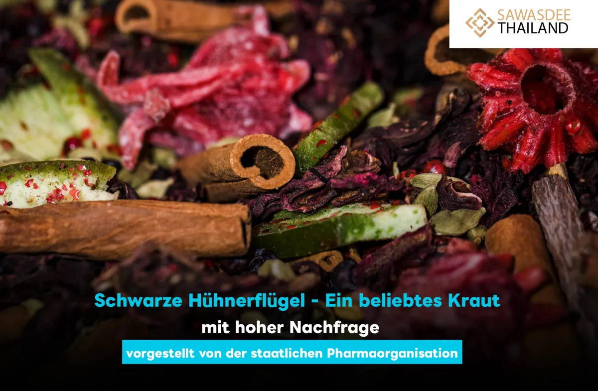 Schwarze Hühnerflügel - Ein beliebtes Kraut mit hoher Nachfrage, vorgestellt von der staatlichen Pharmaorganisation