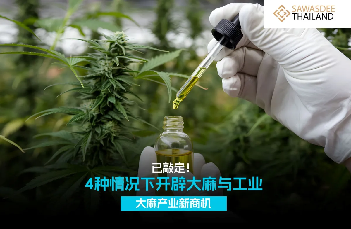 已敲定！4种情况下开辟大麻与工业大麻产业新商机