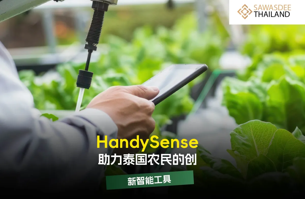 HandySense–助力泰国农民的创新智能工具