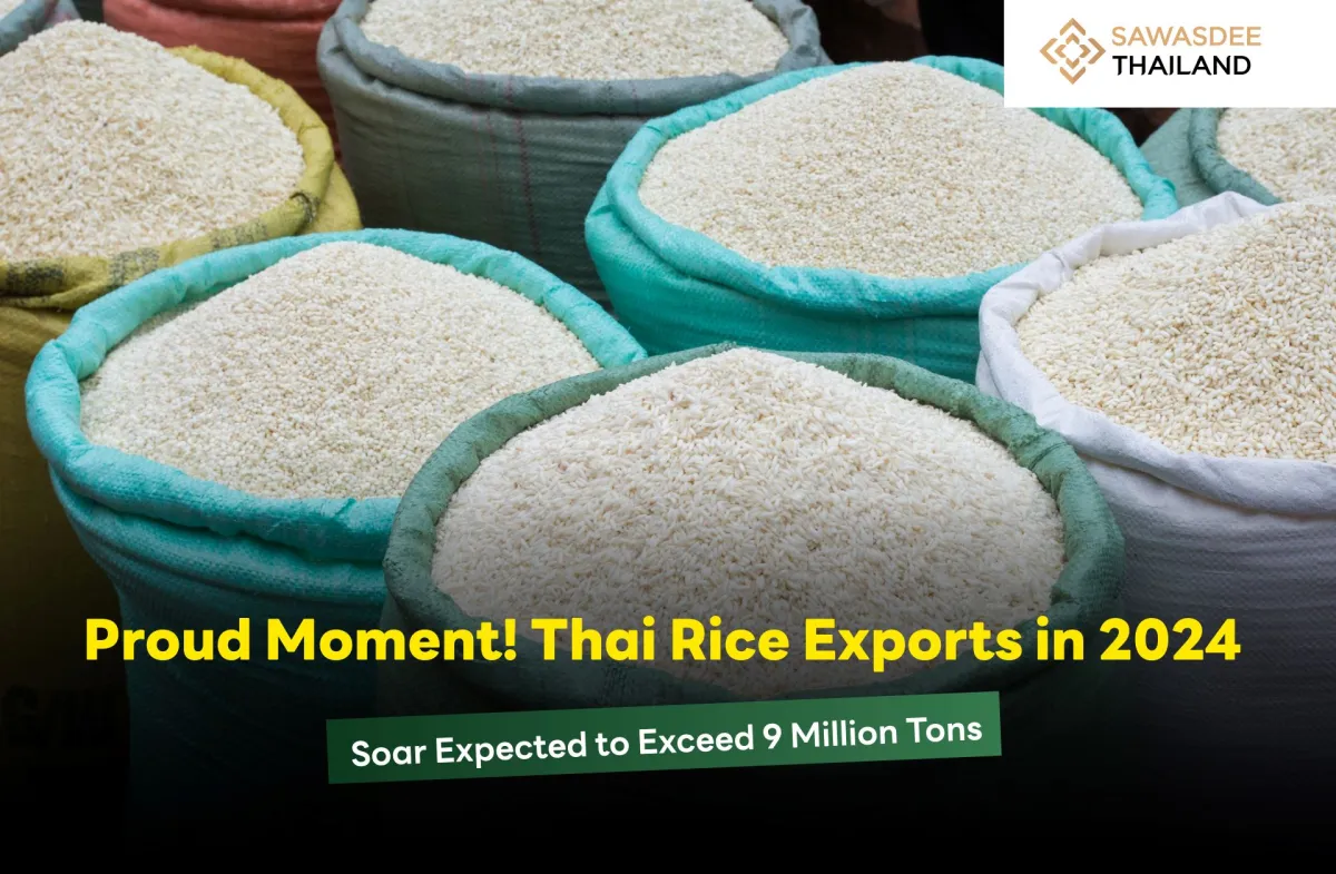 Proud Moment! Thai Rice Exports in 2024 Soar, Expected to Exceed 9 Million Tons