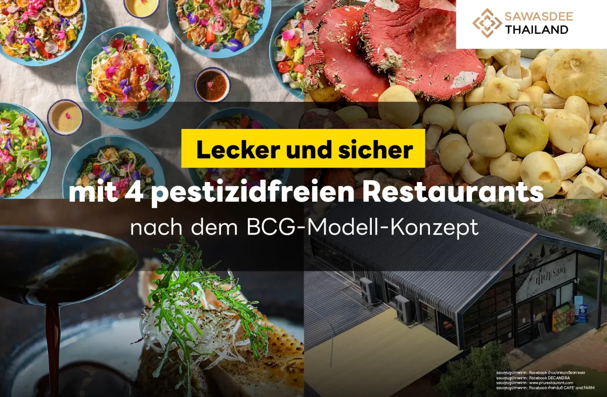 Lecker und sicher mit 4 pestizidfreien Restaurants nach dem BCG-Modell-Konzept