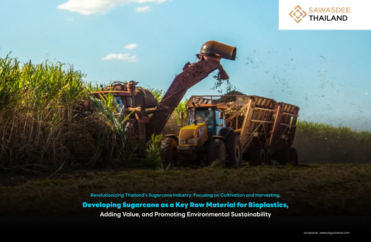 Revolutionizing Thailand’s Sugarcane Industry: Focusing on Cultivation and Harvesting, Developing Sugarcane as a Key Raw Material for Bioplastics, Adding Value, and Promoting Environmental Sustainability