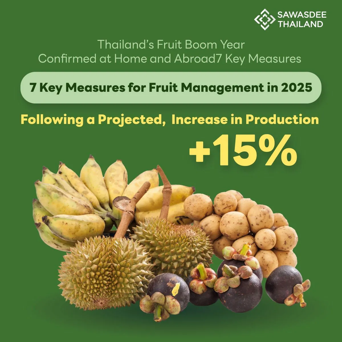 Thailand’s Fruit Boom Year Confirmed at Home and Abroad 7 Key Measures for Fruit Management in 2025 Following a Projected 15% Increase in Production
