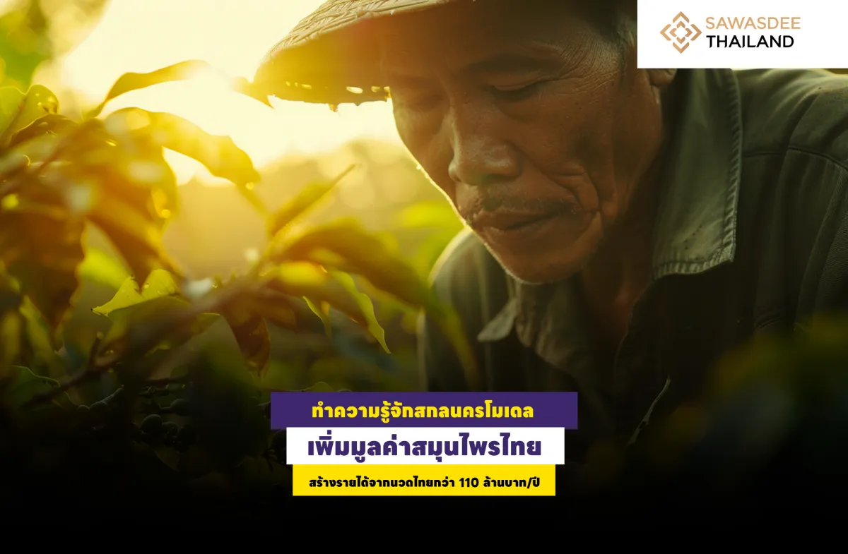 ทำความรู้จักสกลนครโมเดล เพิ่มมูลค่าสมุนไพรไทย สร้างรายได้จากนวดไทยกว่า 110 ล้านบาท/ปี