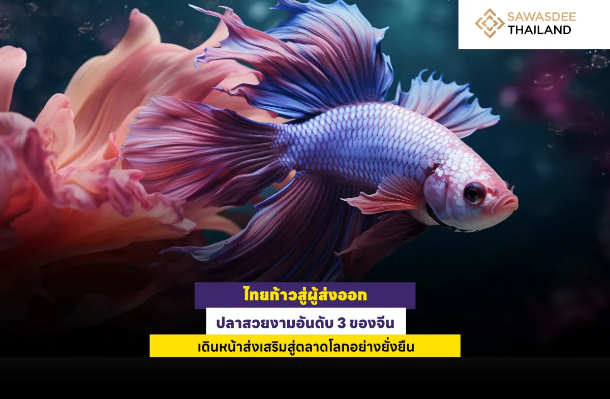 ไทยก้าวสู่ผู้ส่งออกปลาสวยงามอันดับ 3 ของจีน เดินหน้าส่งเสริมสู่ตลาดโลกอย่างยั่งยืน