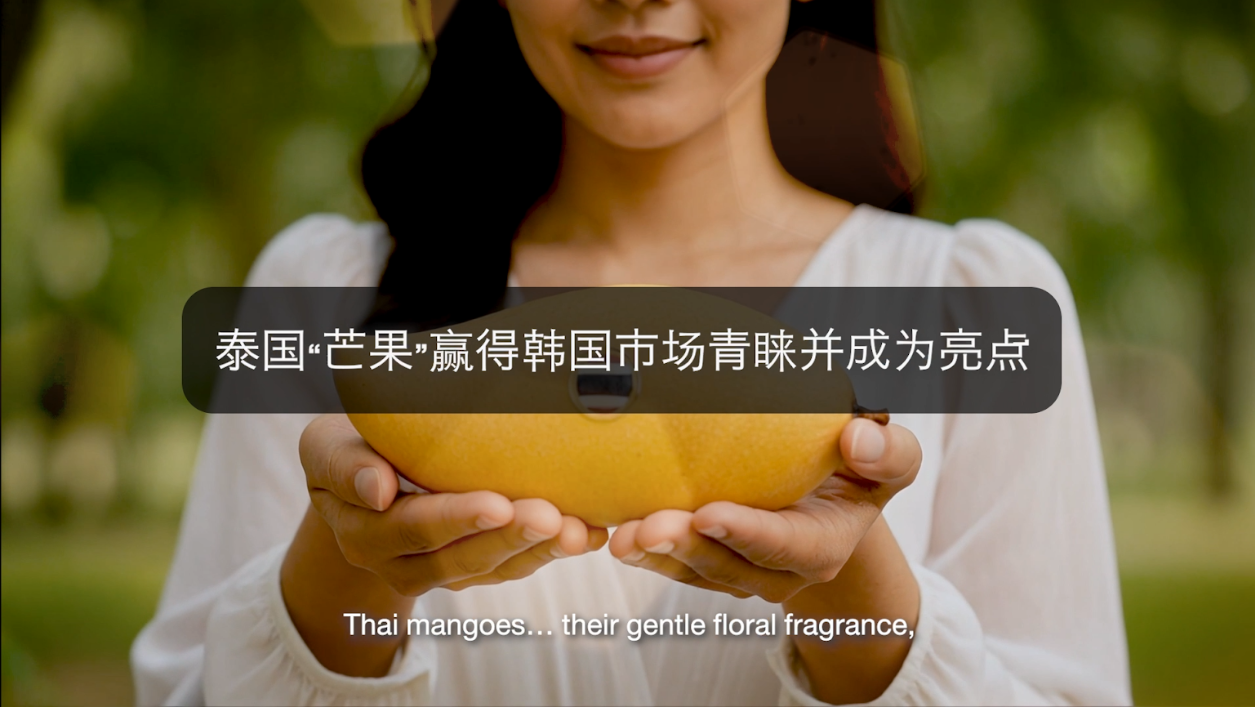 泰国“芒果”赢得韩国市场青睐并成为亮点