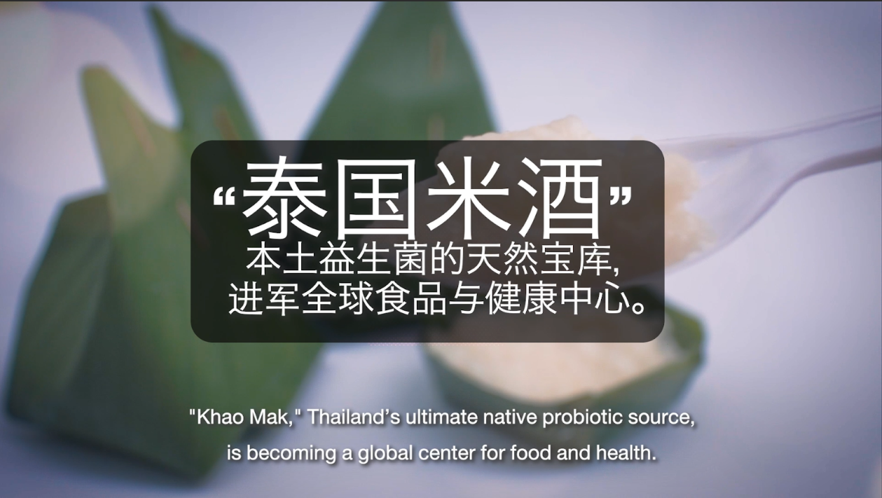 “泰国米酒”——本土益生菌的天然宝库，进军全球食品与健康中心。