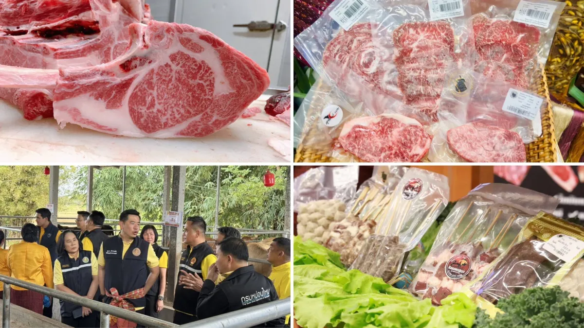 タイ商務省は、スリン県産の高品質牛肉「スリンビーフ」のジーアイ（地理的表示）登録に向けた準備を進めています。