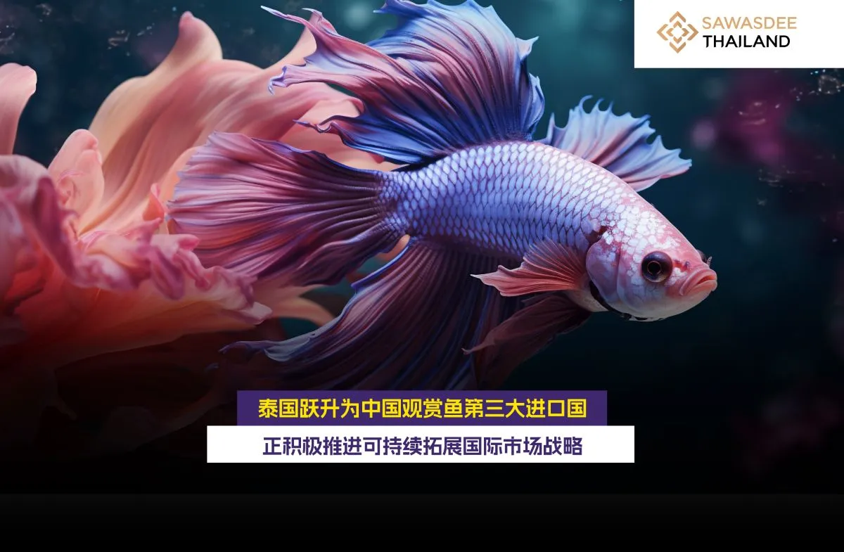 泰国跃升为中国观赏鱼第三大进口国 正积极推进可持续拓展国际市场战略