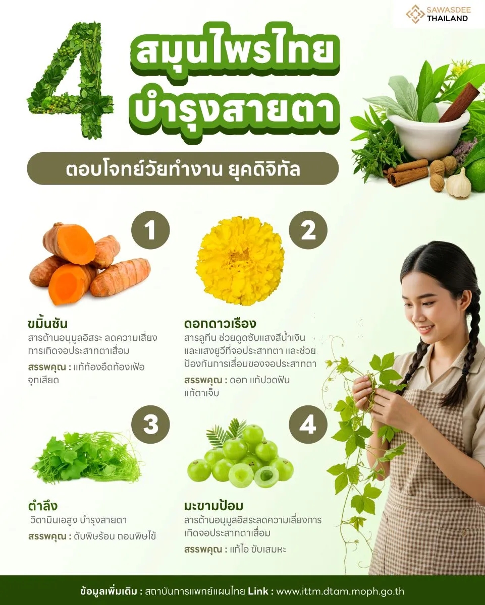 4 สมุนไพรไทยบำรุงสายตา ตอบโจทย์วัยทำงาน ยุคดิจิทัล