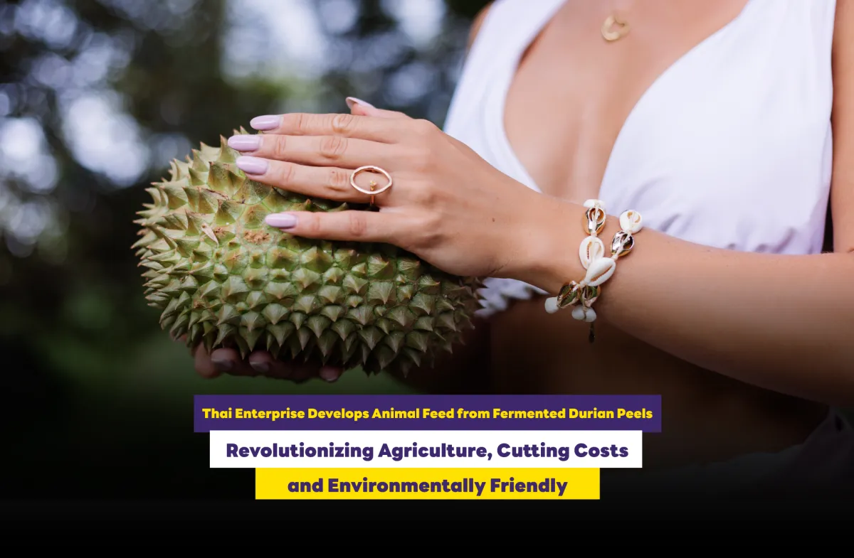 Thai Enterprise Develops Animal Feed from Fermented Durian Peels Revolutionizing Agriculture, Cutting Costs and Environmentally Friendly