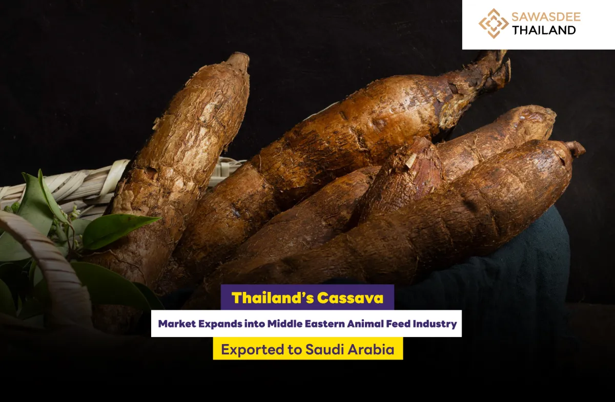 Thailand’s Cassava  Market Expands into Middle Eastern Animal Feed Industry  Exported to Saudi Arabia